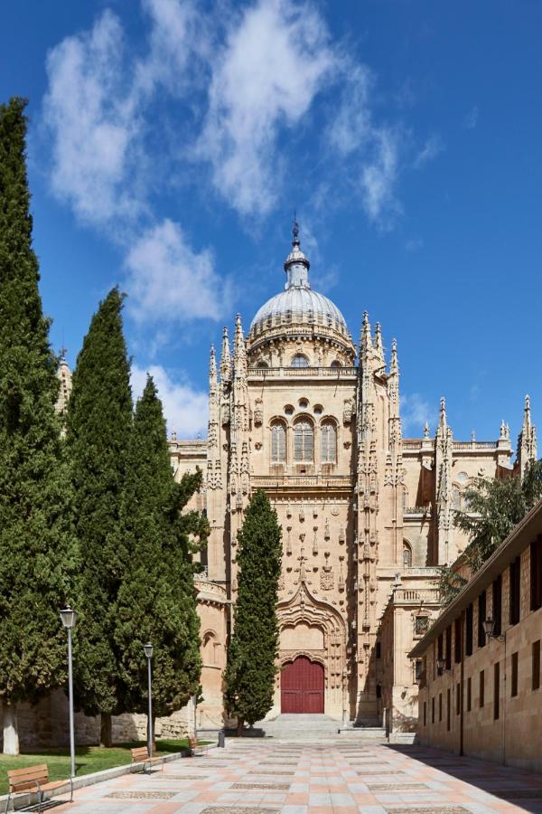 El Patio De La Catedral